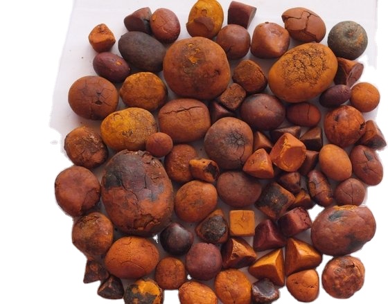 100% natural top Quality Ox Gallstones Cattle Gallstones Cow Gallstones for sale