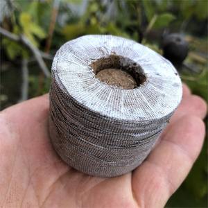 Granos de coco natural para semillas de guardería, peines de coco, precio de fábrica de Vietnam más bajo - Product Image 6