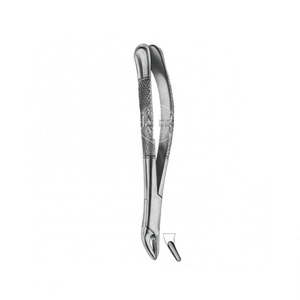 Tooth Forceps - Product Image 6