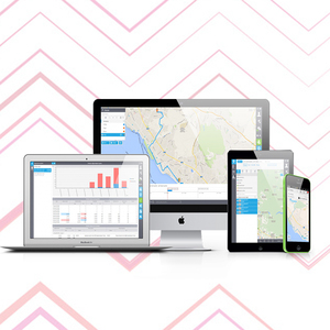 Online Web Style <b>software</b> company for North America and India | Award winning professional online web design by Webroot Infosoft - Product Image 5