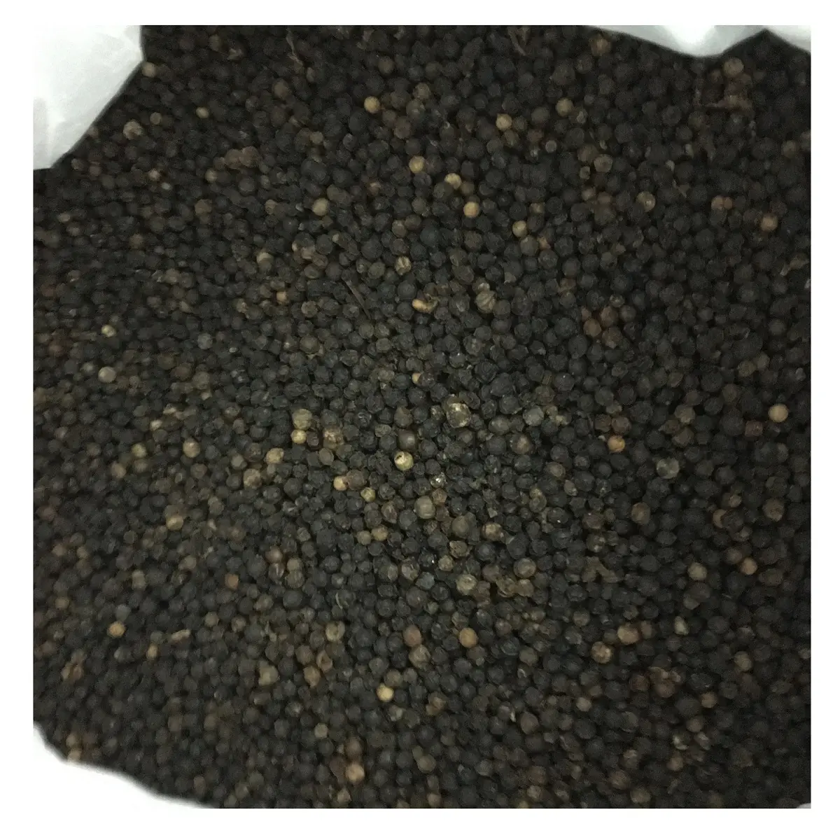 100% Natural Dried Black Pepper Indian Spice Wholesale Price Food Seasoning Black Pepper For Making Food