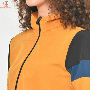 Nouvel ensemble de survêtement d'hiver élégant et personnalisé avec logo, grande taille, crop top, sweat à capuche, jogging, ensemble 2 pièces pour femmes en velours - Product Image 5