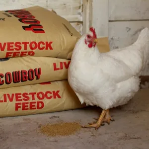 Quality Chicken feeds , Starter , Grower , Finisher and Layer feeds