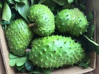 HETE AANBIEDING! GOEDKOOPSTE PRIJS! Verse BIOLOGISCHE Zuurzakvruchten, Graad A, Klaar om te eten // NICKY
