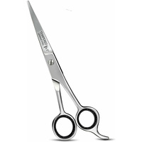 Ciseaux de coiffure allemandes en acier inoxydable 4Cr13, outils de Salon avec peigne, lame et droite, de qualité supérieure, 1 pièce, 6.5 pouces