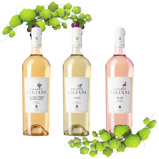 Collection de vin blanc et Rose, italien D'Addario 6 0,75 l, Bts Fiano chardonny ultraboo, à vendre