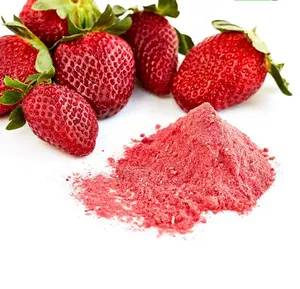 Polvo orgánico de fábrica de fresas secas y liofilizadas, polvo de zumo de frutas, 84, 896611913