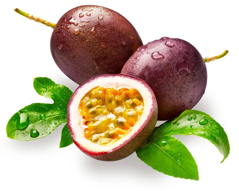 Frutas frescas e frescas paixão-pureia de frutas de sementes de paixão única com lc/tt à visão do visão