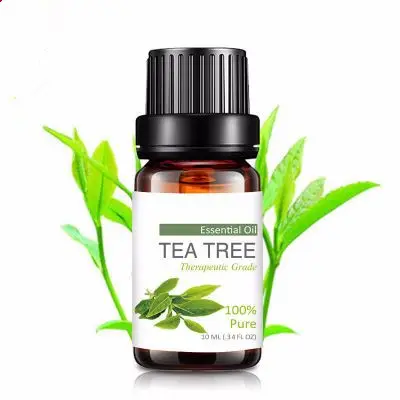 Aceite Esencial de árbol de té, aceite esencial disponible para embalaje a granel, precio de la India, venta al por mayor