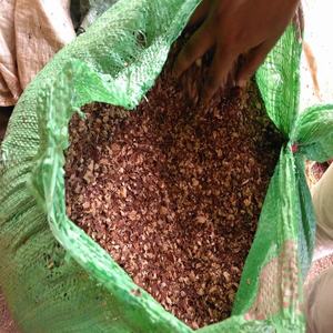 Cascarilla lista para enviar, cáscara de anacardo, cáscara de anacardo, origen Vietnam, polvo de cáscara de anacardo, uso para alimentación animal - Product Image 1