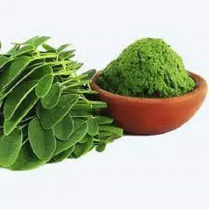 Moringa Oleifera Leaves Powder Extract Moringa Capsules Seeds Leaf