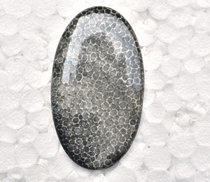 Stingray Coral Cabochon High Quality Black Coral Cabochon Loose Gemstones Stingray Beads Cabochon - Product Image 1