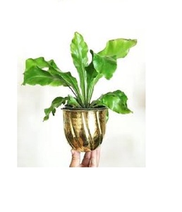 Florero decorativo de latón con acabado colorido, maceta para flores, decoración del hogar, precio al por mayor - Product Image 1