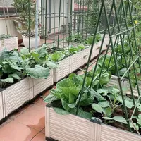 베트남 공급자 종묘장, vegetabble를 위한 파종 식물을 위해 모듈 플라스틱 올려진 정원 침대 재배자 상자 수직 정원