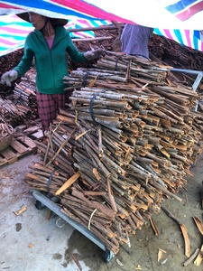 ก้านดิบเครื่องเทศสมุนไพรแห้งที่เก็บรักษาด้วยน้ำมันจากทับทิมโดยตรงจากเวียดนาม (+ 84) - Product Image 5