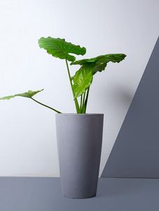 Hot Selling Attractive Customized Design Eco-Friendly Iron Powder Coated <b>Flower</b> Pots for Indoor and Outdoor Plants Multi Color - Product Image 2