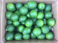 Citron frais sans pépins du Vietnam, qualité Long An, fruit d'agrumes naturel, paquet de 10 kg