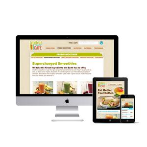 Best Flowless Bug Free <b>software</b> development for North America | Award Winning Website Development Services by Webroot Infosoft - Product Image 6