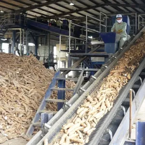 Cassava starch cheapest price Large quantity for buyers