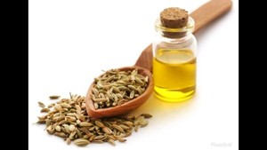 AARNAV GLOBAL EXPORTS Huile essentielle de fenouil pur 100% (certifiée GMP)-Application topique Ingrédient d'arbre à thé Autriche Source - Product Image 4