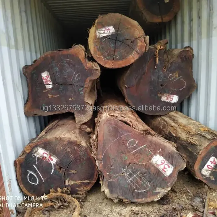 Tutti i tipi di legno, tronchi come asEkop nagaZingana,Kosso,Cotali,Ilumba,Moabi,Teak,Okoume, mukul-1, Agoungui,Pa Rosa,Bulinga