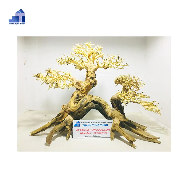 High-Ranking Bonsai Drijfhout Voor Betta Aquarium Decoratie & Ornament Natuurlijke Kleur Whatsapp + 84 963 949 178