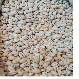 Cuentas de Cristal y Vidrio Hechas a Mano, Blancas con Orificio, para Artistas de Joyería y Tiendas de Cuentas - Product Image 3