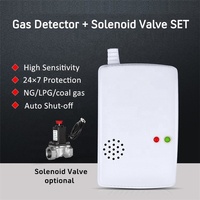 Sistema de Alarma de Gas Combustible CH4 Residencial Más Económico, Detector de Monitoreo de Gas Natural y GLP