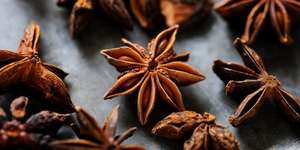 Anís estrellado otoño am 2019, al mejor precio - Product Image 6