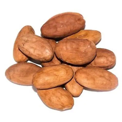 生ココア豆原料ココア豆ガーナ有機カカオ豆