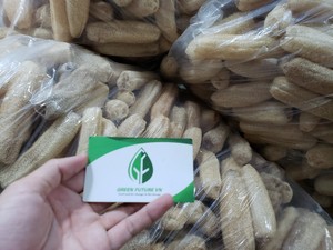 Éponge de loofah entière séchée écologique du Vietnam - Éponge naturelle sans plastique pour le bain, le spa et la cuisine - Product Image 3
