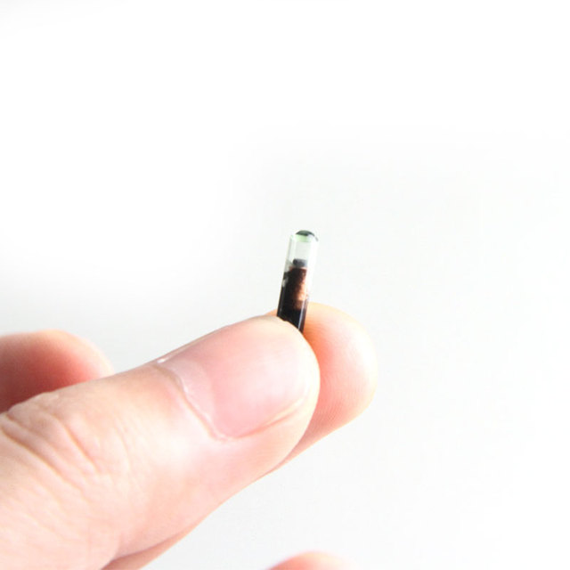 125KHz 134.2KHz RFID Glass Tag ID Animal Pet Tracking Micro Animal Glass Tube Tag