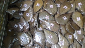 ใบอัลมอนด์อินเดียขนาด10ซม. ถึง18ซม. 4-7นิ้ว10นิ้วสำหรับสัตว์เลี้ยงในตู้ปลาอุปกรณ์สำหรับสัตว์เลี้ยงคุณภาพระดับพรีเมียม - Product Image 5