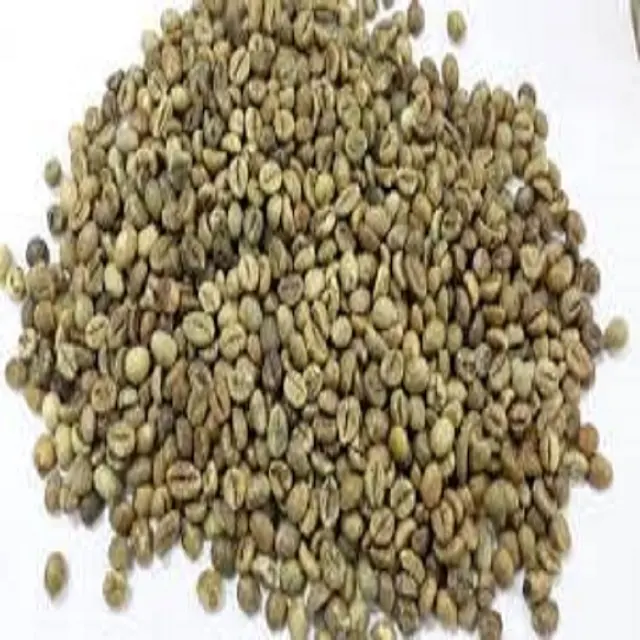 מכירה לוהטת הטוב ביותר באיכות ירוק פולי קפה ערביקה מטע
