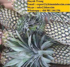 VIETNAM fruits d'ananas frais (WHATSAPP: + 84 981 144 196) - Product Image 5