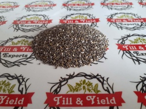 New Crop 2022 Chia Seed Salvia Hispanica Bueno para altamente nutritivo Puede apoyar la pérdida de peso - Product Image 4