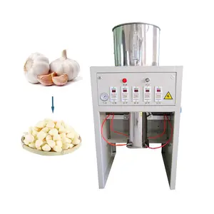High Quality Garlic Skin Remover 1000kg China Industrial Whole Small Automatic Garlic Peel Machine Price