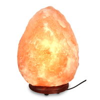 Lampe en sel rose de l'Himalaya sculptée de haute qualité, artisanale, Feng Shui, élégance naturelle par Sian Enterprises