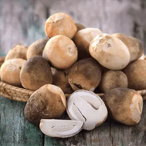 Высококачественные грибы из замороженной соломы/органические замороженные грибы из Вьетнама/Whatsapp: мисс Кристи + 84 918509071