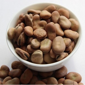 Hot Selling Dried Large Fava <b>Beans</b> in Bulk Quantity - Product Image 1