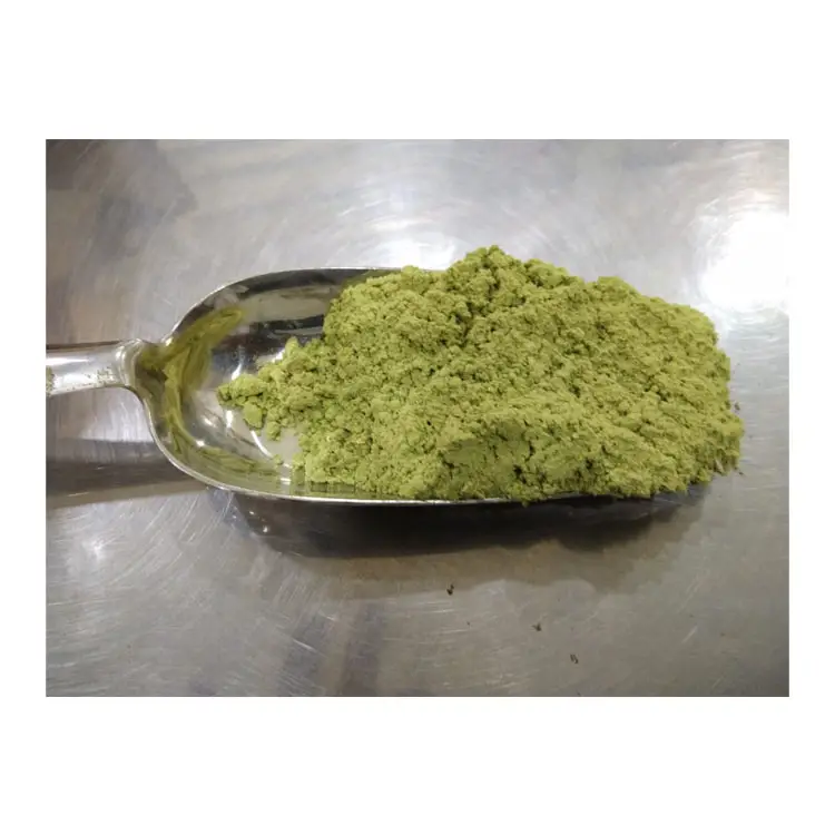 Indian Exporter of Excellent Quality Best Selling Pure and Natural SIDR Powder at Wholesale Market Price