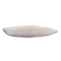 Atún Albacore Congelado IQF de Alta Calidad, Capturado en el Siluro, a Granel, 20 KG, Típico, Natural, Bajo en Grasa, Nutritivo, Lomo de Atún, 25 Meses de Vida Útil
