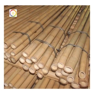 Varilla de Bambú Recta Sostenible - Poste de Bambú con Varios Tamaños para Soporte Agrícola y de Construcción 99GD - Product Image 5