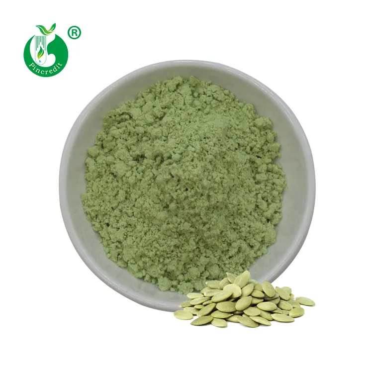 Pincredit-extracto de semilla de calabaza orgánico Natural, polvo de proteína de semilla de calabaza