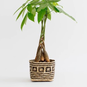 Panier de plantation en bambou jaune vif, artisanal, sculpté à la main, décoration artistique minimaliste pour la maison et le jardin, tailles S-M-L, pot de fleurs - Product Image 4