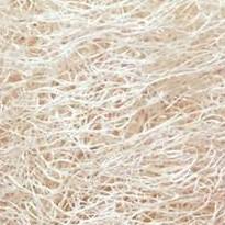 ธรรมชาติ