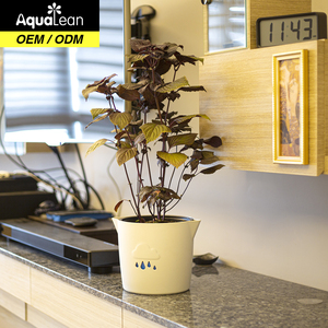 เหมาะสำหรับปลูกสวนสะดวกสีเขียวด้วยตนเองรดน้ำหม้อ - Product Image 3