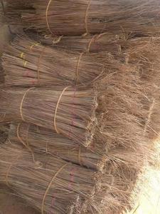 Gazon en feuille de noix de coco 100% naturelle, bâton de balai/Nipah, origine du VietNam, (Lee jan: 0084987731263) - Product Image 4