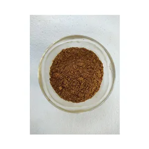 Leading Indian Exporter of Best Quality Pure and Natural Herbal Saw Palmetto Powder at Wholesale Price