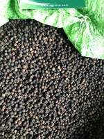 Zwarte Peper 400/ 500/ 550 Gl Mc/Faq Fabrikant Van Vietnam Beste Kwaliteit Contact Leverancier Mr. Henry + 84 368591192